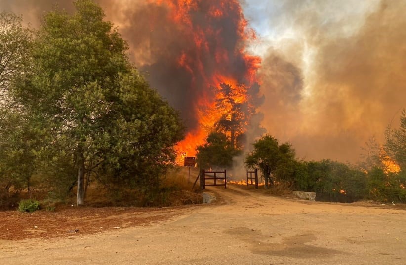 Chile wildfires kill at least 120