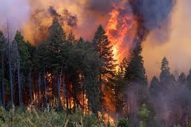 California fighting with 4th largest wildfire in history